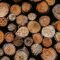 Jak przechowywać drewno opałowe, aby zachowało ono swoje właściwości?